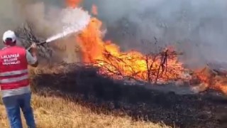 Anız yangını ormana sıçradı