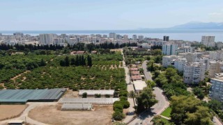 Antalya 19 yılda 100 bin futbol sahası büyüklüğünde tarım alanını kaybetti