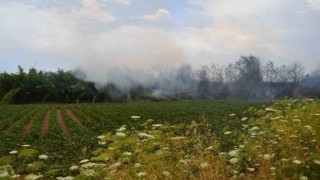 Antalyada çıkan yangın ağaçlara sıçradı, vatandaş korkuya kapıldı