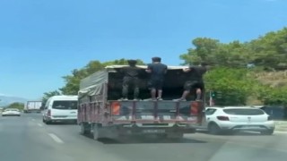 Antalyada kamyonet kasasında tehlikeli yolculuk kamerada
