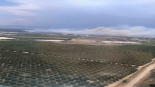 Antalyada orman yangını
