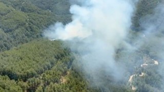 Antalya'da Orman Yangını Ev ve Seralara Sıçradı