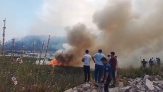 Antalyada orman yangını kontrol altına alındı