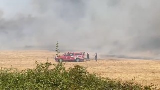 Antalyada sazlık alan yangını