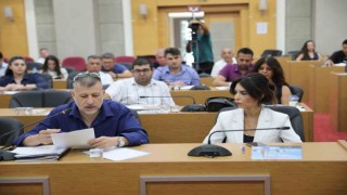 Antalyanın 19 ilçe belediyesiyle sahipsiz hayvanların geleceği konuşuldu