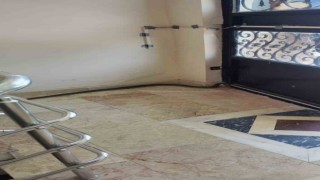 Apartmanda yılan paniği