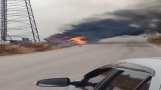 Arı yüzünden devrilen kamyon alev alev böyle yandı