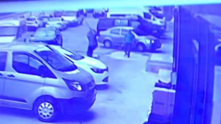 Artvinde sokak köpeğine kürekle saldırı tepki topladı