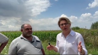 Asu Kaya Gedik “Çiftçi buğday taban fiyatının açıklanmasını bekliyor”