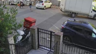 Ataşehirde birbirine giren köpekleri motosiklet kaskı ile vurarak ayırdı