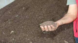 Atıklar, toprak iyileştirici kompost ürüne dönüşüyor