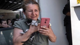 ATMde mahsur kalan yavru kedi hayvanseverleri korkuttu