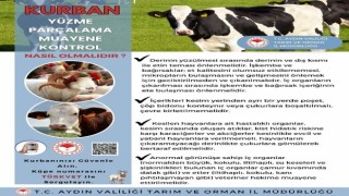 Aydında kurban keseceklere uyarılarda bulunuldu