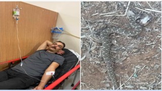 Aydında yılanın ısırdığı şahıs hastaneye kaldırıldı