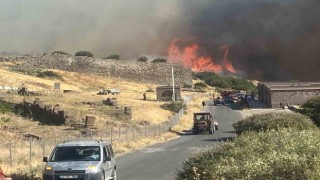 Ayvacıkta makilik alanda çıkan yangın antik kente sıçradı