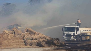 Ayvalıkta çöp döküm alanında çıkan yangın otluk ve zeytinlik alana sıçradı