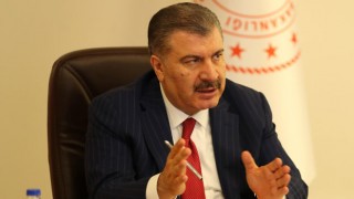 Bakan Koca: “Sahipsiz Sokak Köpekleri İçin Önlemler Zorunlu”