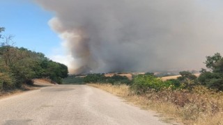 Balıkesir Bigadiçte arazi yangını