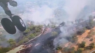 Balıkesirde arazide başlayan yangın ormanlık alana sıçradı