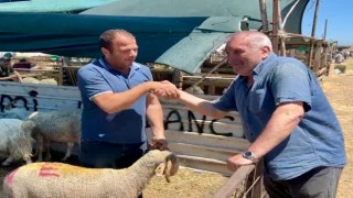 Bandırma Kurban Pazarında bayram arefesi hareketliliği