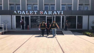 Bandırmada trafik magandası yakalandı