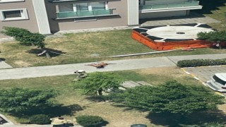 Başakşehirde emekli polis memuru dehşet saçtı, polis köpeğini vurup camdan aşağıya attı
