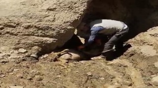 Başkalede uçuruma atlayan 28 koyun telef oldu