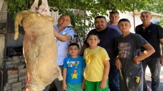 Başkan Akdeniz kurbanını kendi kesti