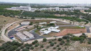 Başkan Özyiğit: Sokak hayvanları için ciddi bir bütçe ayırdık