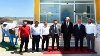 Başkan Tatık, Tavasa mandıra kazandırmak için kolları sıvadı