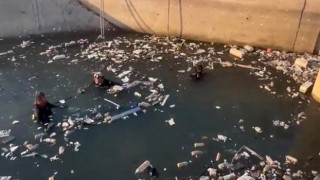 Batmanda 54 kilometre alan tarandı, 4 gündür kayıp çobandan iz yok
