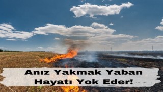 Batmanda anız yakan 12 kişiye 263 bin 185 lira ceza kesildi