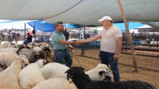 Bayramın ilk gününde kurban pazarında hareketlilik