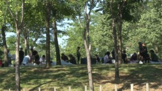 Bayrampaşada kaçak kurban kesenler kamerada