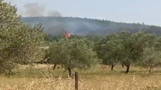 Bergamada orman yangını