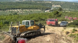 Bergamadaki orman yangını kontrol altına alındı