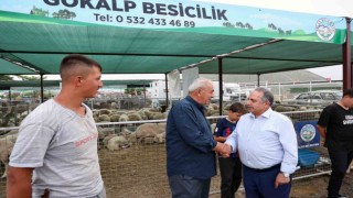 Besiciler Başkan Yalçına teşekkür etti: Bu konfor İstanbulda yok
