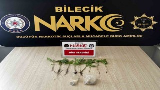 Bilecikte evinde uyuşturucu yetiştiren şüpheliyi eşi ele verdi