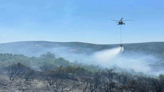 Bilecikteki orman yangınına hem havadan hem karadan müdahale edildi