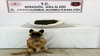 Bingölde 3 günde 42 kilo uyuşturucu maddesi ele geçirildi
