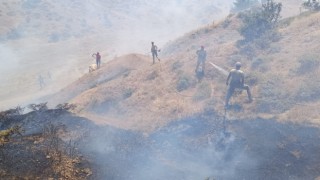 Bingölde çıkan orman yangını söndürüldü