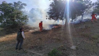 Bingölde iki ayrı bölgede çıkan yangınlar söndürüldü