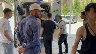 Bitliste patpat devrildi: 8 yaralı