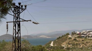 Bodrum Adabükünde trafo patladı, alevler lüks sitelere ulaşmadan önlendi