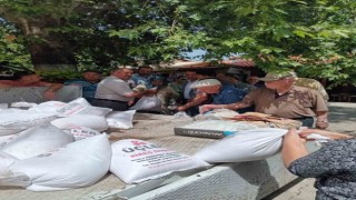 Bozüyük Güzelköyde Dünya Çevre Günü etkinliği