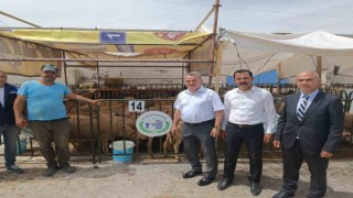 Bozüyükte kurban satış ve kesim yerleri denetlendi