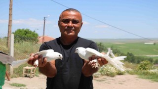 Bu kuşlara değer biçilemiyor