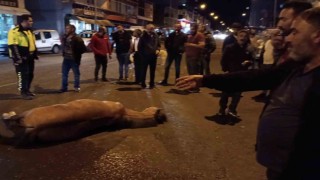 Bunun adı vicdansızlık