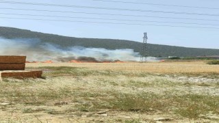 Burdurda çıkan arazi yangınında yaklaşık 25 dekar alan yandı