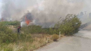 Burdurda gün içinde çıkan yangınlarda 700 dekar alan ve 1 ev ile odunluk yandı